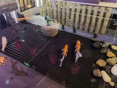 -优食坊·蒸汽海鲜(康盛路店)