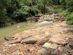 -广州白江湖森林公园