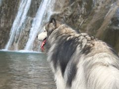 -白水冲瀑布