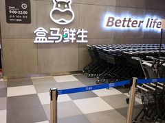 -盒马鲜生(财富中心店)