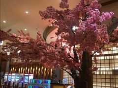 -大江户·温泉洗浴(浑南店)