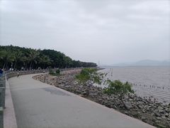 -深圳湾公园(南山区)
