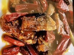 -院8里·小聚园老川菜(九眼桥店)