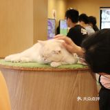 饮料咖啡都是无限畅饮的!可以玩一个下午的好去处