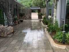 -蘇河湾·新鲁菜·泰山宴(泰山店)