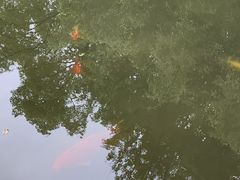-兰亭风景区