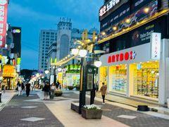 -宝健路步行街(Pedestrian Shopping Street)
