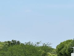 -羊山湖公园