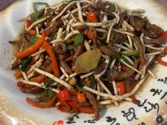 折耳根炒牛肉-张鲫鱼家常菜