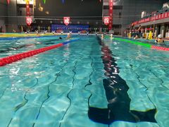 -陕西省游泳跳水馆