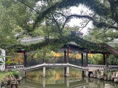 -江心屿景区