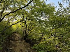 -北京密云天门山风景区