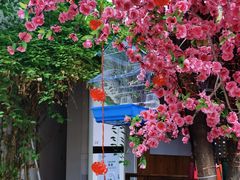 -丽江庭院之爱在路上(西单店)