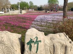 -石家庄市植物园