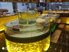 水产区-蒲叙(凯天国际店)