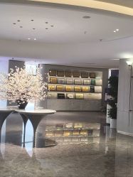 -广州美莱医疗美容医院