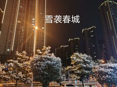 -七彩云南茶(七彩云南第壹城店)