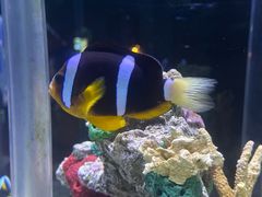 -太平洋海底世界