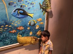 -成都泰迪熊博物馆