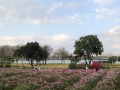 -映月湖公园
