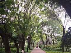-玲珑塔公园