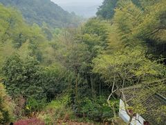 -韬光茶庵
