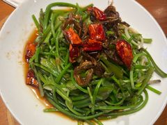 -菌自由丨野生菌火锅特色庭院餐厅(丽江古城店)