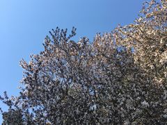 -锅儿挑面馆