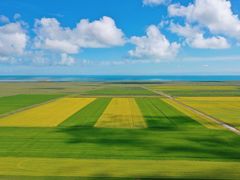 -青海湖国家重点风景名胜区