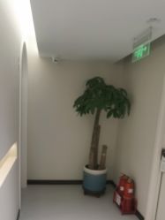 -柯莲娜医学美容