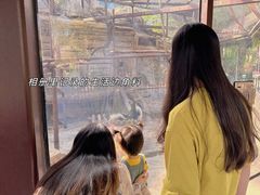 -灵玲国际马戏城