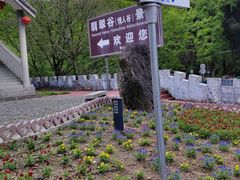 -黄山翡翠谷景区