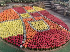 -南通洲际绿博园