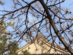 -西宁市东关清真大寺