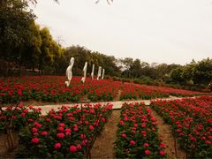 -广东花都香草世界旅游度假区