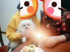 -BONCAKE裱花蛋糕(万象汇店)