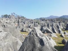 -千岛湖石林