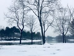 -尚贤河湿地