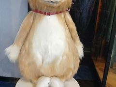 -万达影城(南宁印象城IMAX店)