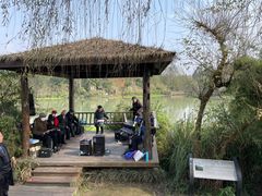 -桤木河湿地公园