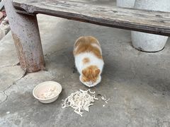 -北京凤凰岭