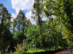 -上海长兴岛郊野公园