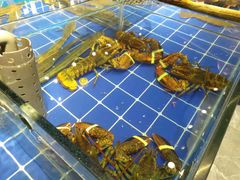 -渔家大院·地道威海菜(石岛店)