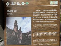 -楠溪江石桅岩