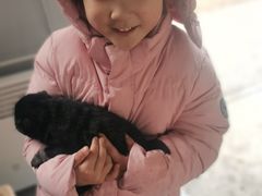 -宁波九龙湖开元度假村