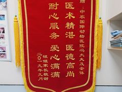 -中农国际动物医院24小时·猫科·骨科·急重症中心