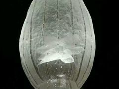 android_upload_pic-上海琉璃艺术博物馆