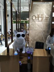 -OnHair Salon