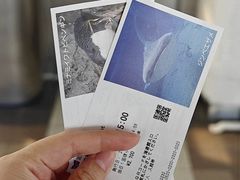 -大阪海游馆
