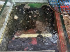 -北港方记海鲜楼·海景餐厅
